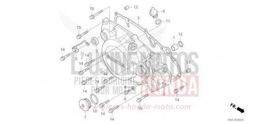 PANNEAU CARTER-MOTEUR D. CRF150RBN de 2022